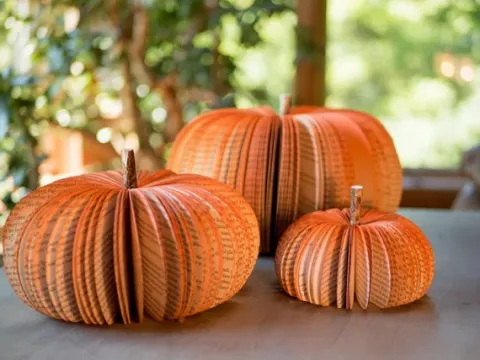 Pumpkin Craft