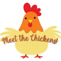 Meet Chickens