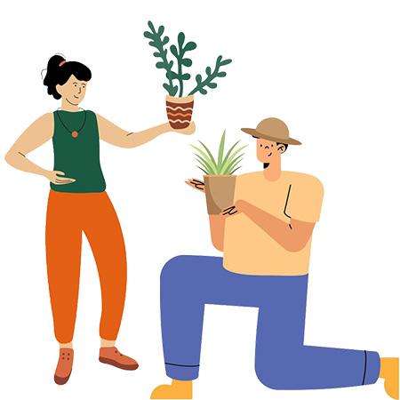 Plant Swap